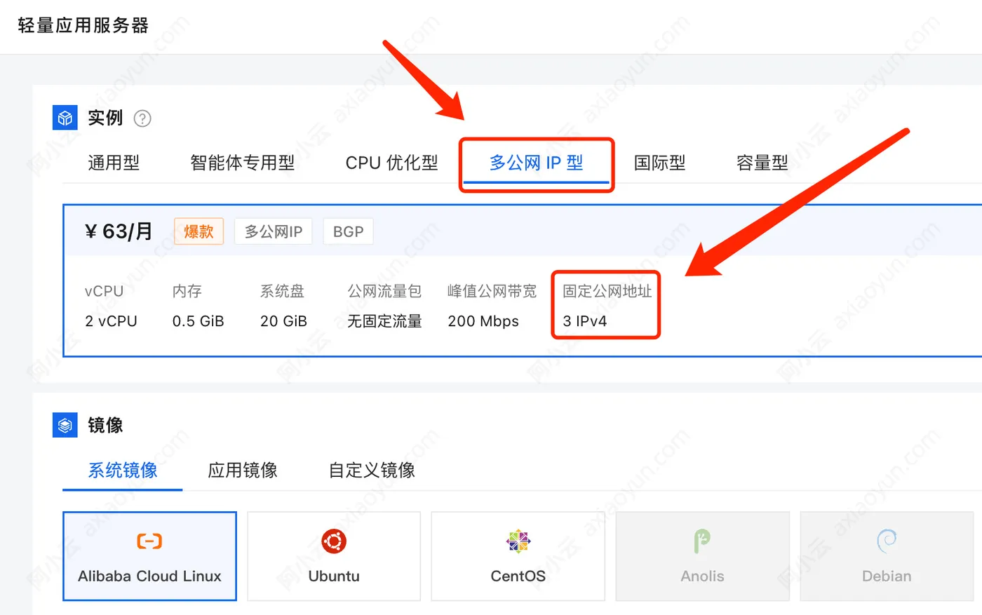 阿里云轻量应用服务器多公网IP型