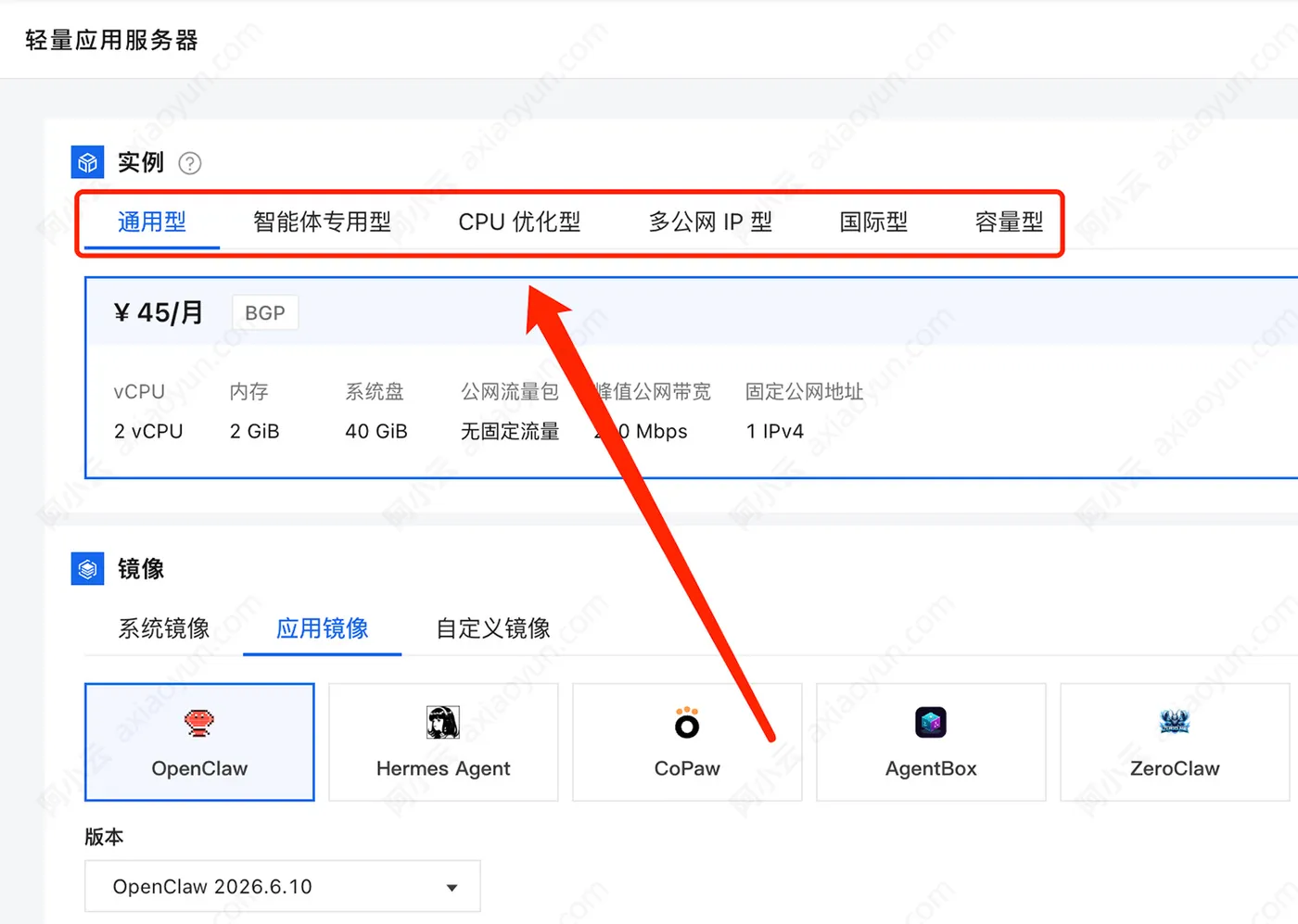 阿里云轻量应用服务器实例类型