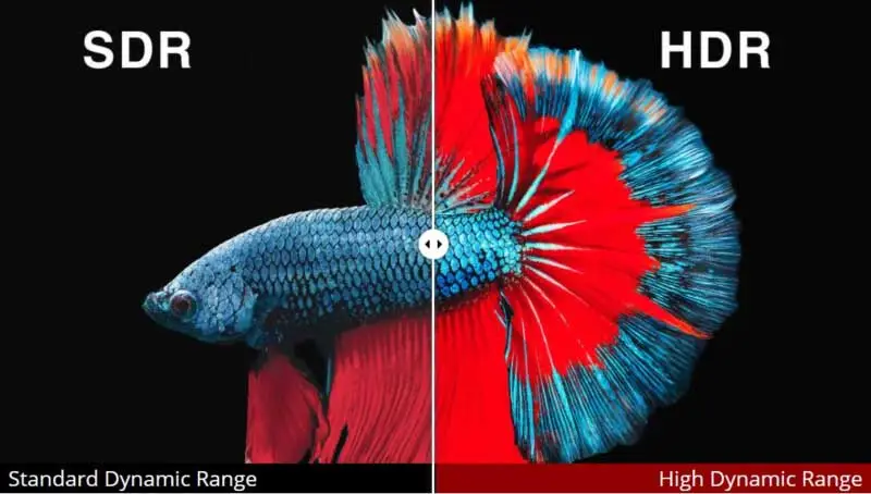 What_is_HDR_HDR_vs-2-c.jpg