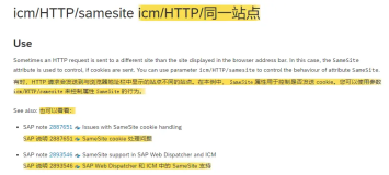 ABAP RZ11 icm/HTTP/samesite 参数的含义介绍