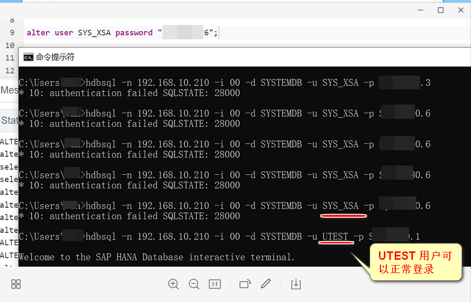 SAP HANA 错误消息 SYS_XSA authentication failed SQLSTATE - 28000