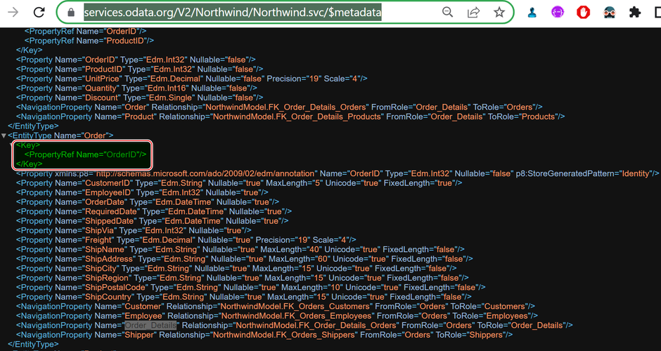 visio view 浏览器