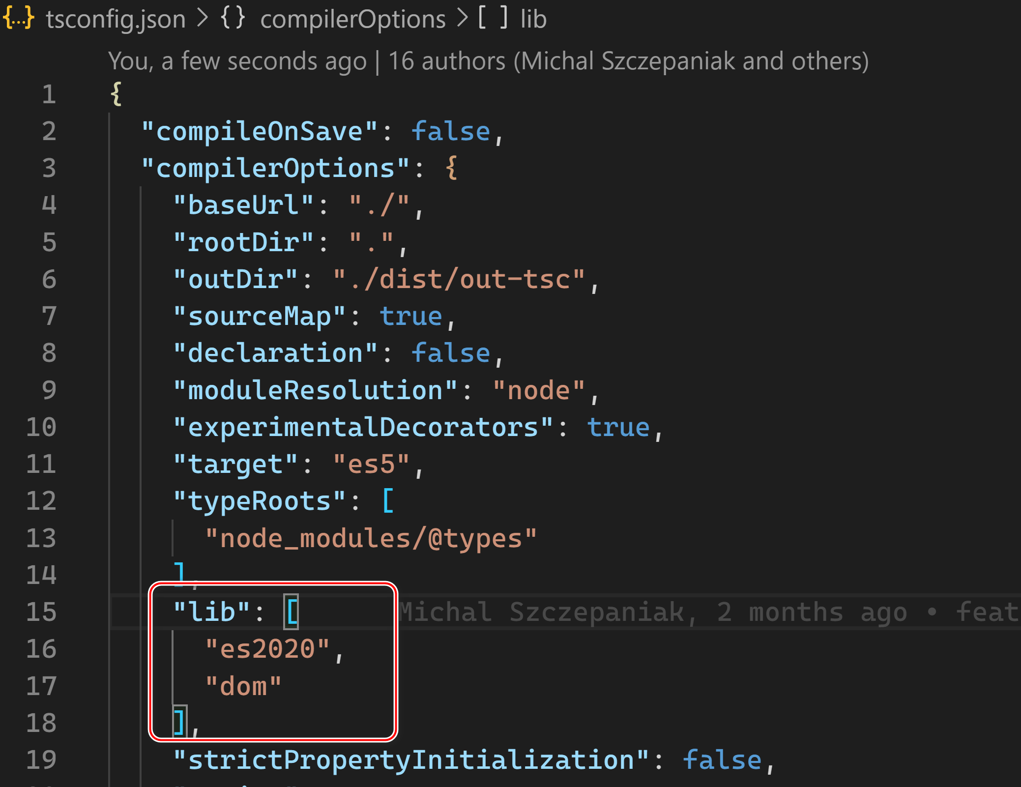 关于 Angular 应用 tsconfig.json 中的 lib 属性