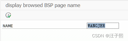 一个 ABAP 工具，能打印系统里某个用户对 BSP 应用的浏览历史记录