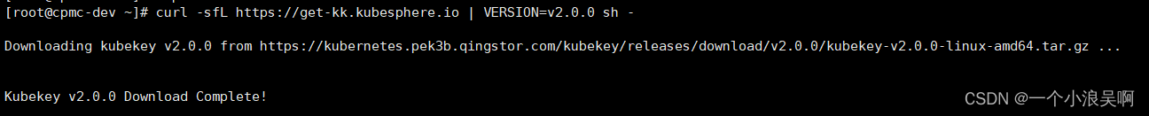 Linux k8s Kubernetes All-in-One 模式安装 KubeSphere 详细教程