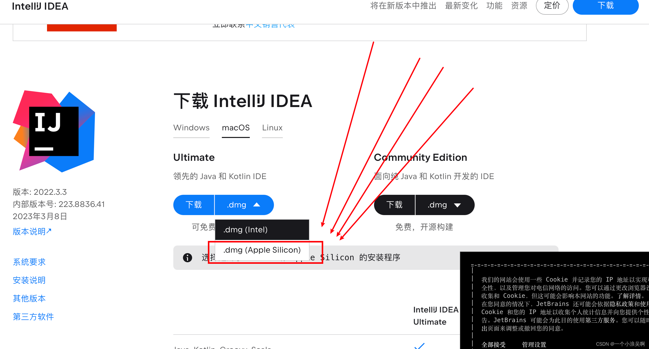 Mac Idea卡顿、慢解决方案 限制jvm也没有用【超实用】