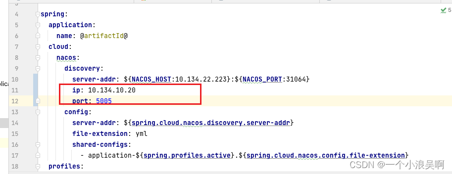 SpringCloud Nacos服务注册指定注册的ip和端口号