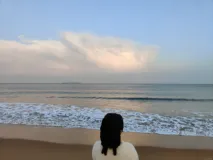 MyBatisPlus的@TableField注解基本使用