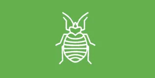 flea-jersey使用之Flea RESTful接口客户端接入