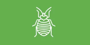 flea-jersey使用之Flea RESTful接口服务端接入