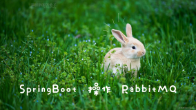 SpringBoot中使用RabbitMQ