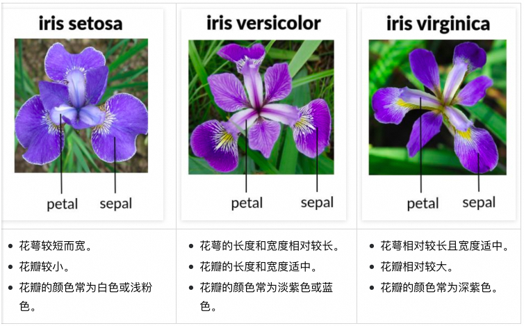 Python实现鸢尾花分类的数据分析与可视化基础-开发者社区-阿里云