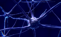可视化解释11种基本神经网络架构