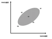 流片Corner Wafer介绍