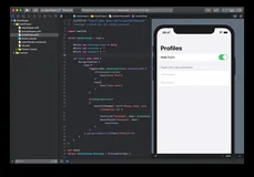 SwiftUI—如何切换部分表单项目的可见性