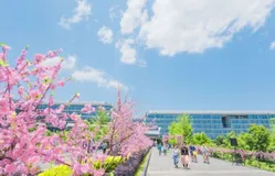 直击！10万阿里小二的复工生活