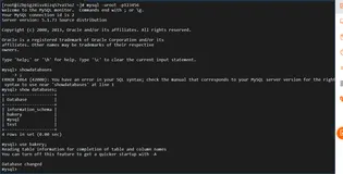 【MySQL数据库进阶实战】如何在云端创建MySQL数据库