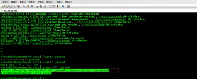 Linux 普通用户执行命令， 报  chmod: changing permissions of  '*' :Operation not permitted
