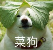 云开发小白ECS使用体验