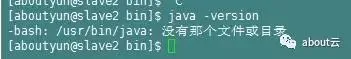 about云日志分析项目准备高可靠centos7安装jdk1.8【rpm】