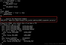 如何使用 Idea 远程调试 Java 代码
