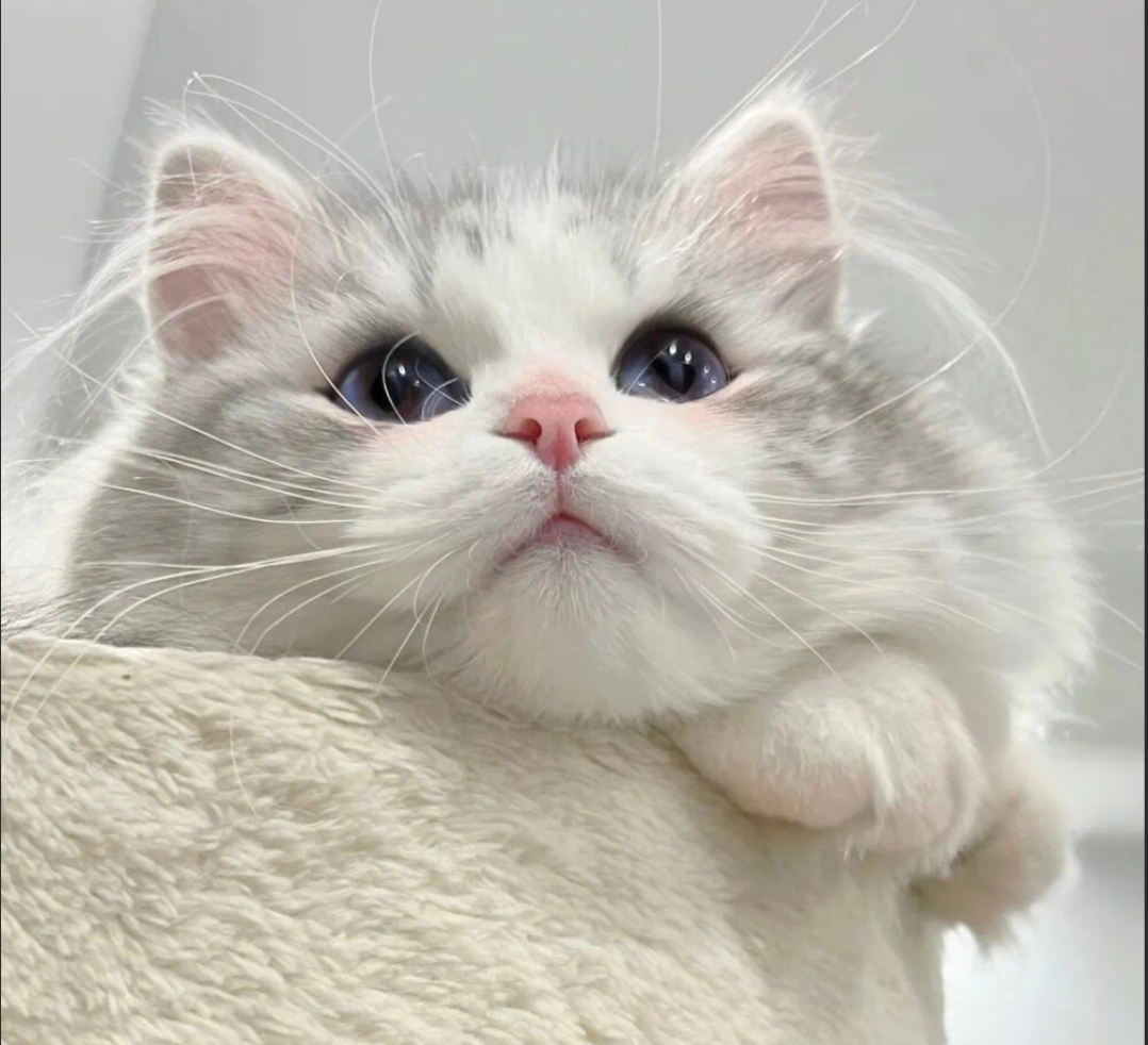 Linux常见指令汇总