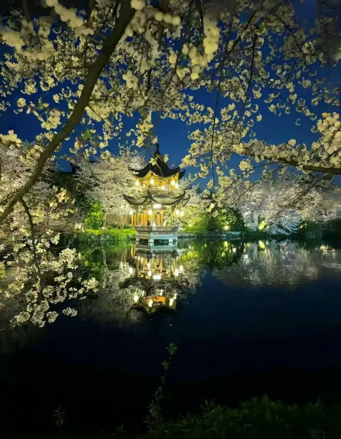 c++的string一键介绍