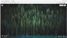 Chrome 插件篇-Unsplash插件：浏览器背景桌面设置，漂亮的背景桌面插件，时时更新