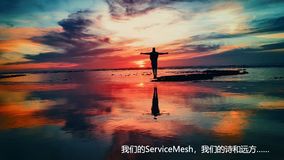 蚂蚁金服 Service Mesh 深度实践