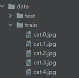 【图像分类】——来来来，干了这碗EfficientNet实战（Pytorch）