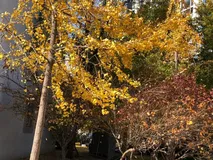 lettuce连接池很香，撸撸它的源代码(上）