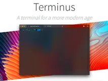 Linux如何安装Terminus终端