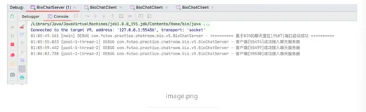 【BIO】通过指定消息大小实现的多人聊天室-终极版本