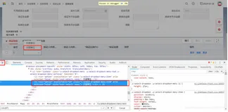 Python+selenium 自动化-chrome页面静止、冻结技术，获取web动态页面的Xpath方法，查看浏览器动态dom节点