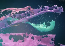 LP流动性挖矿系统开发及跨链桥技术