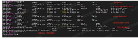 Docker（11）- docker ps 命令详解 