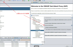 图解OWASP ZAP录制登录请求，并且进行SQL注入测试