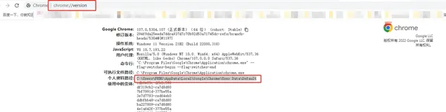 【浏览器】chrome 打包分享自己安装的插件