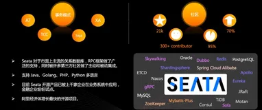 Seata-微服务架构开发的必备利器 | 学习笔记