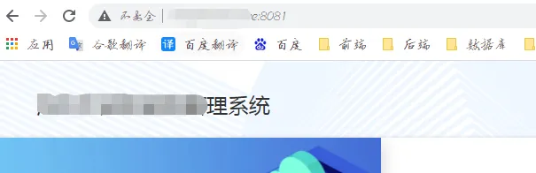 域名访问NGINX服务截图.png