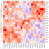 使用ComplexHeatmap绘制复杂热图|Note2:单个热图(万字超详细教程）（上）