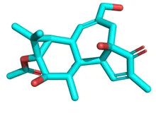 OpenCV | OpenCV将图像转换成黑白图像（二进制）