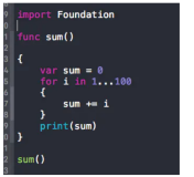 swift语言之函数的基本构架