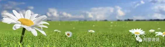 【源测】-Spring Boot系统动态扩展框架