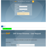 如何访问 SAP Screen Personas 培训系统以及完成一个最简单的例子