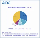 IDC报告：中国软件安全网关、中国信息和数据安全市场份额双冠！