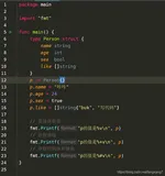 【GO】复合类型:创建结构体对象的几种方式