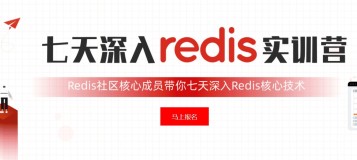 【七天玩转Redis实战营】答疑汇总Day5 Redis架构及介质选择指引