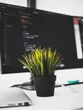 网络扫描利器Fing之Linux版本使用教程