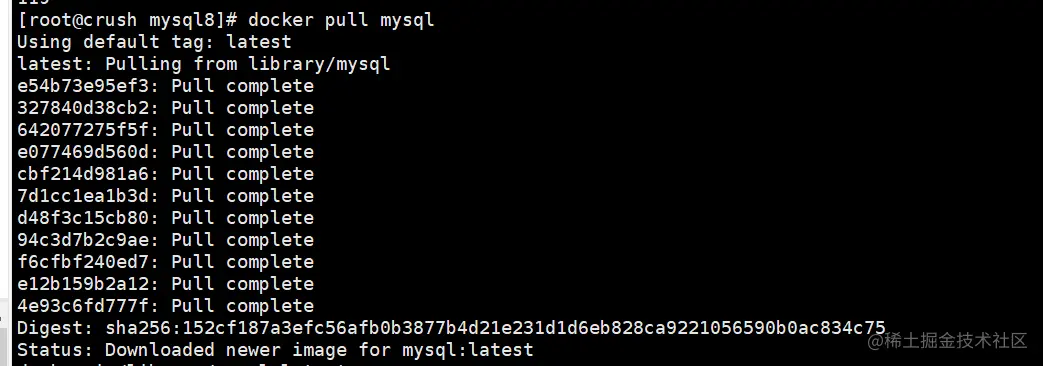 Docker 安装 MySQL8.0